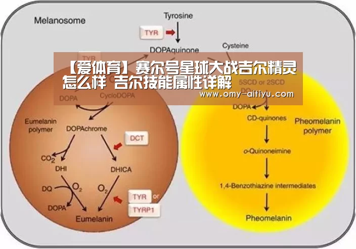 【爱体育】赛尔号星球大战吉尔精灵怎么样 吉尔技能属性详解(图4) 爱体育