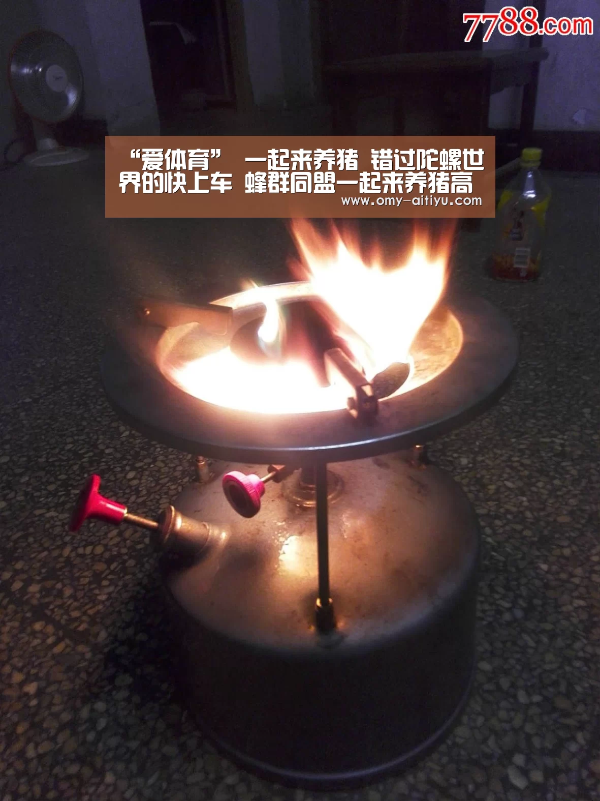 “爱体育”
一起来养猪 错过陀螺世界的快上车 蜂群同盟一起来养猪高扶持(图2) 爱体育