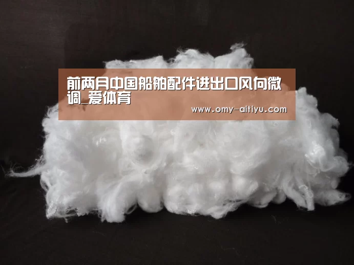 前两月中国船舶配件进出口风向微调_爱体育(图2) 爱体育